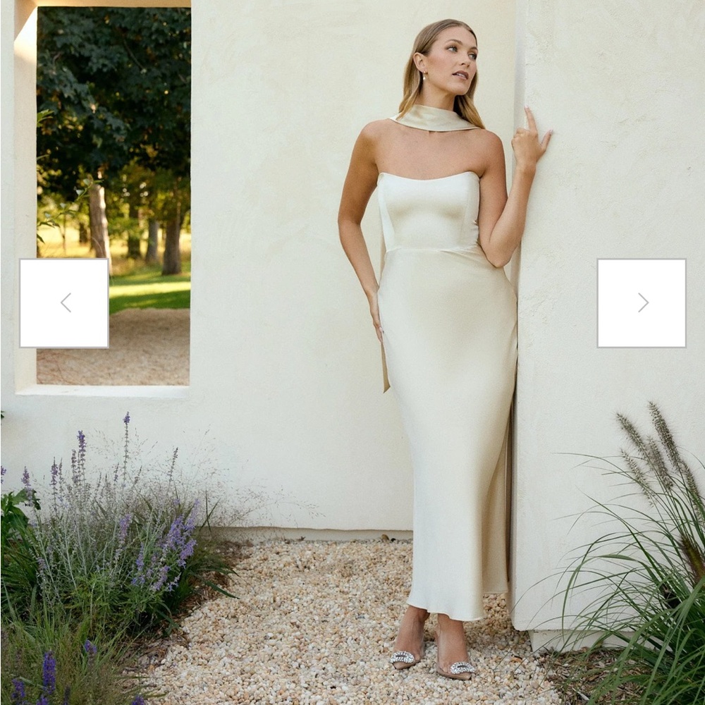 Park and Fifth Brodie Dress Champagne size M